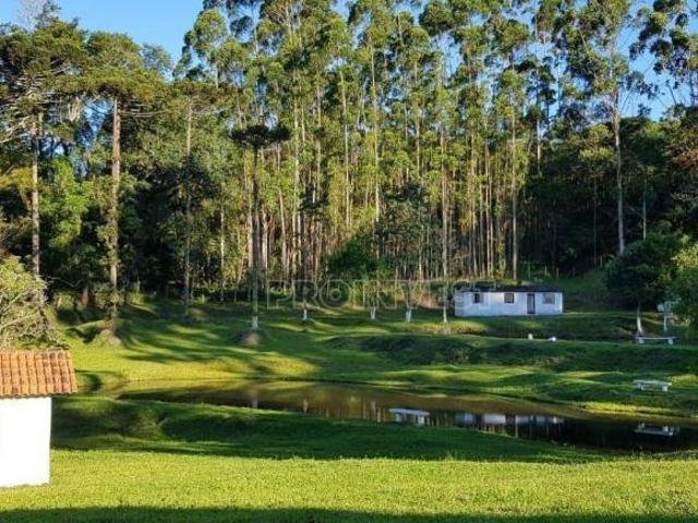 Sítio e chácara venda em Ibiúna