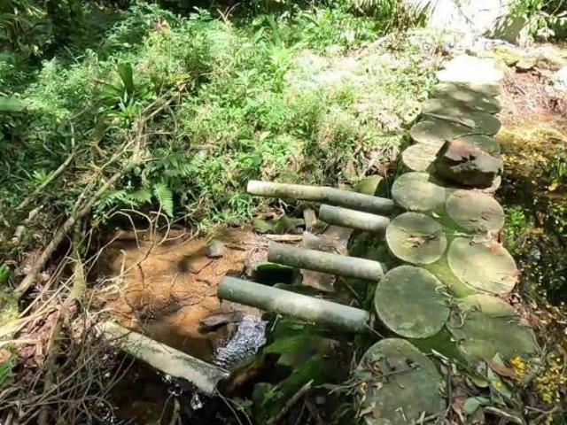 Sítio e chácara venda em Região Imediata de Sorocaba, Região Metropolitana de Sorocaba