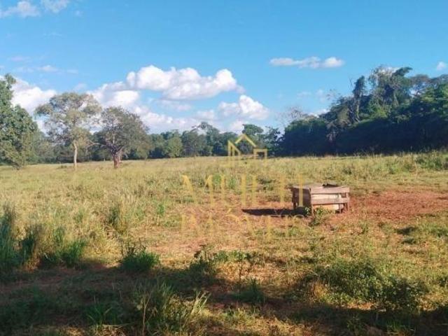 Sítio e chácara venda em Região Imediata de São José do Rio Preto, Região Metropolitana de São José do Rio Preto