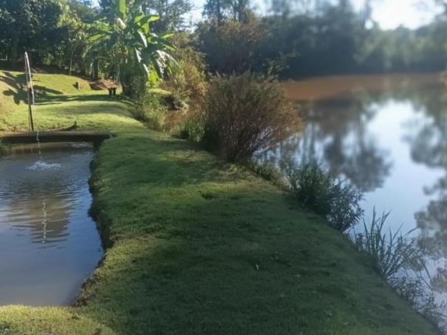 Sítio e chácara venda em Região Geográfica Imediata de Belo Horizonte, Região Metropolitana de Belo Horizonte