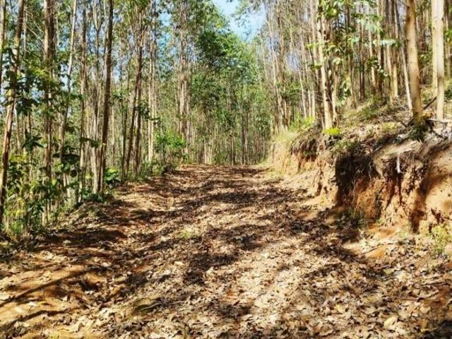 Sítio e chácara venda em Igaratá