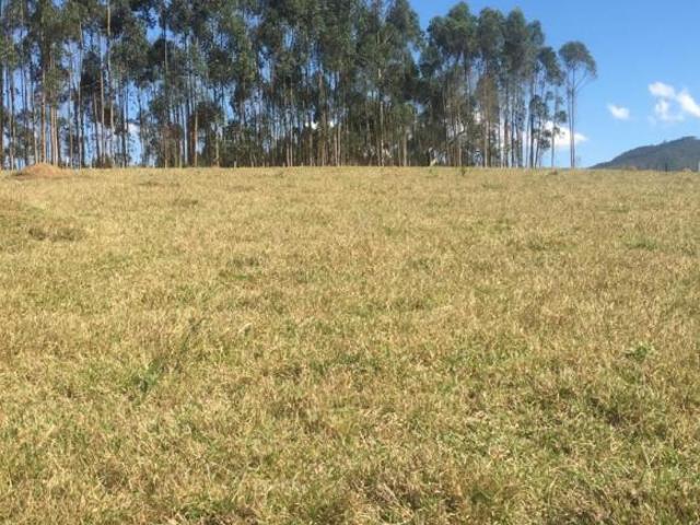 Sítio e chácara venda em Centro, Igaratá