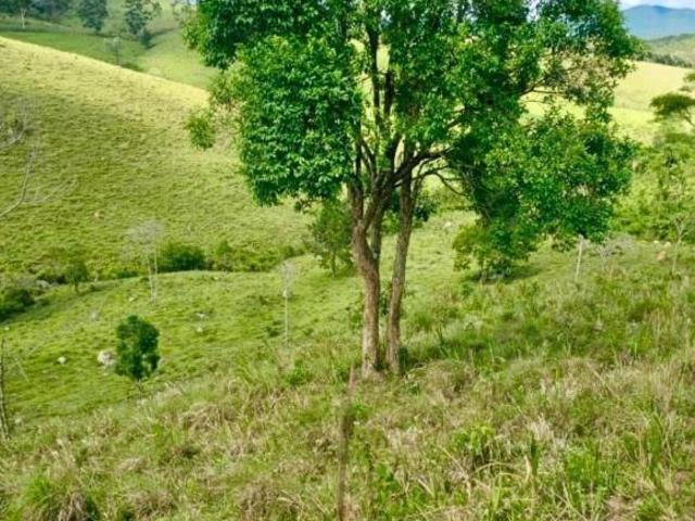 Sítio e chácara venda em Região Imediata de São José dos Campos, Região Metropolitana do Vale do Paraíba e Litoral Norte
