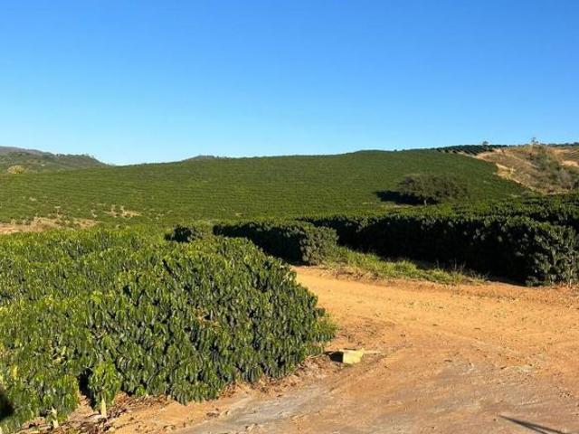 Sítio e chácara venda em Região Geográfica Imediata de Três Pontas - Boa Esperança, Ilicínea