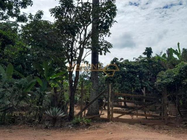 Sítio e chácara venda em Indianópolis, Região Geográfica Intermediária de Uberlândia