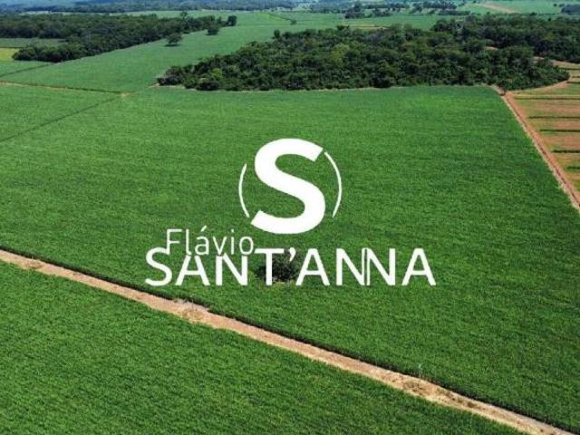 Sítio e chácara venda em Região Imediata de Fernandópolis, Indiaporã