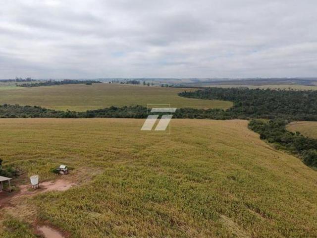 Sítio e chácara venda em Iporã, Região Geográfica Intermediária de Maringá