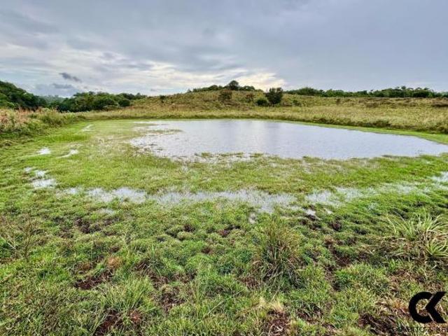 Sítio e chácara venda em Região Geográfica Imediata de Frederico Westphalen, Pinhal