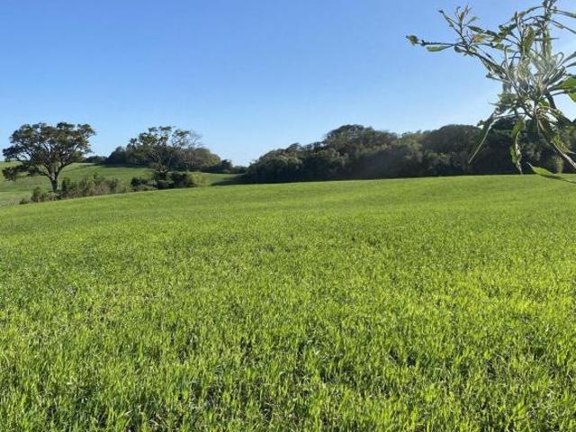 Sítio e chácara venda em Região Geográfica Imediata de Santa Maria, Itaara