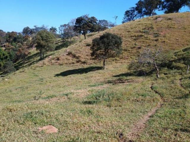 Sítio e chácara venda em Região Geográfica Imediata de Oliveira, Região Metropolitana de Belo Horizonte