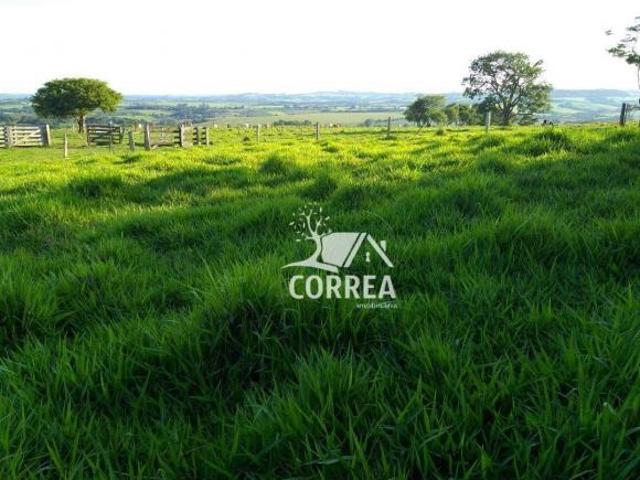 Sítio e chácara venda em Região Imediata de Itapetininga, Região Metropolitana de Sorocaba