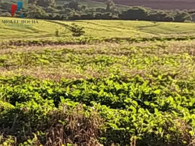 Sítio e chácara venda em Região Imediata de Itapeva, Itapeva