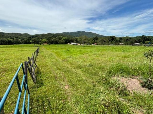 Sítio e chácara venda em Região Geográfica Imediata de Goiás - Itapuranga, Itapuranga