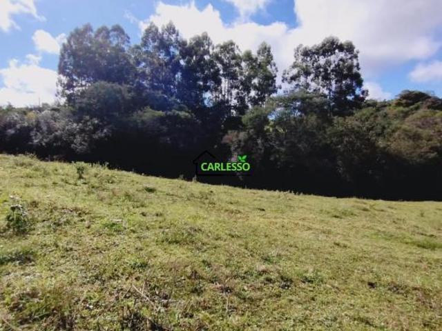 Sítio e chácara venda em Região Geográfica Imediata de Santa Maria, Ivorá
