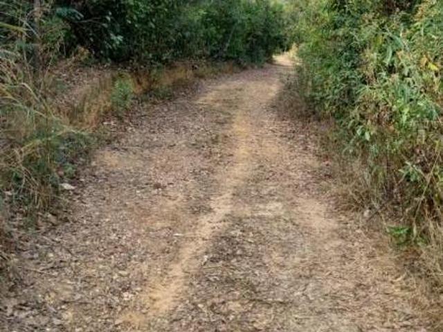 Sítio e chácara venda em Região Geográfica Imediata de Belo Horizonte, Região Metropolitana de Belo Horizonte