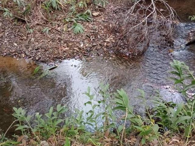 Sítio e chácara venda em Jacuí, Região Geográfica Intermediária de Varginha
