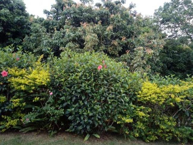 Sítio e chácara venda em Região Imediata de São José dos Campos, Região Metropolitana do Vale do Paraíba e Litoral Norte