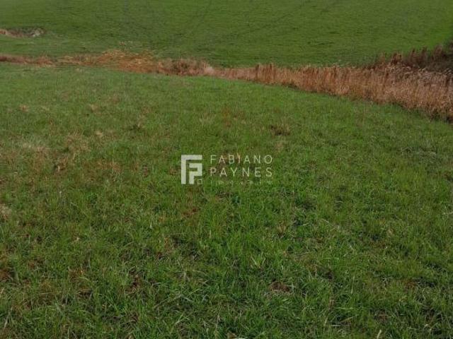 Sítio e chácara venda em Júlio de Castilhos