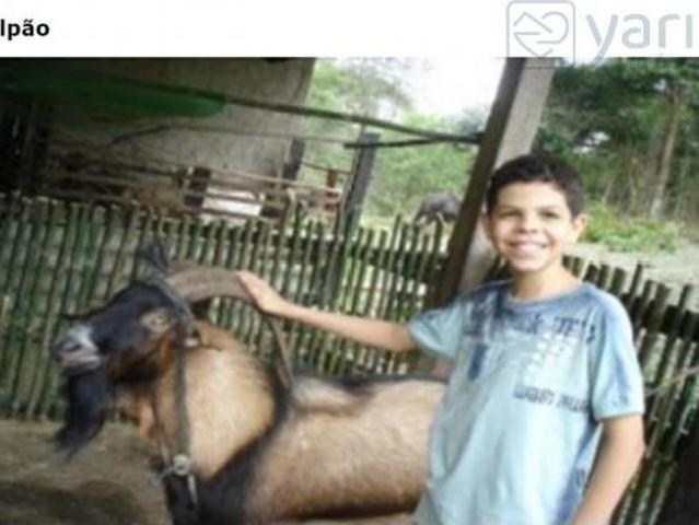 Sítio e chácara venda em Região Imediata de Registro, Juquia