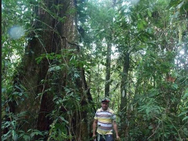 Sítio e chácara venda em Juquiá