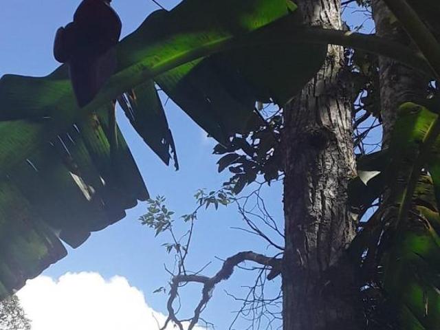 Sítio e chácara venda em Região Imediata de São Paulo, Região Metropolitana de São Paulo