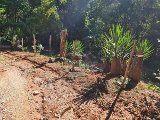 Sítio e chácara venda em Região Geográfica Imediata de Guaxupé, Juruaia