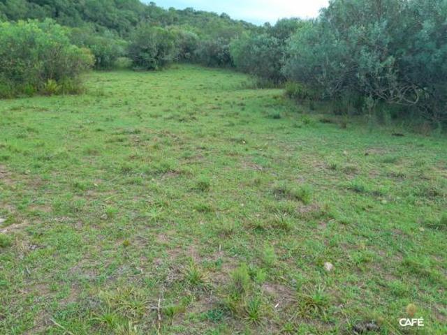 Sítio e chácara venda em Lavras do Sul