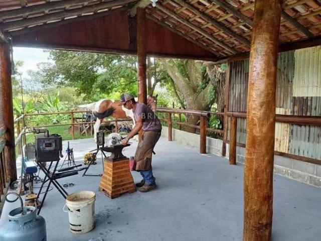 Sítio e chácara venda em Região Imediata de Limeira, Região Metropolitana de Piracicaba