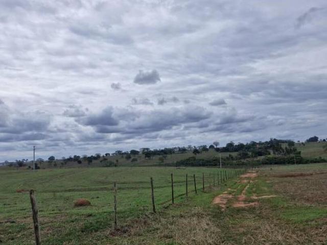 Sítio e chácara venda em Região Imediata de Fernandópolis, Macedônia