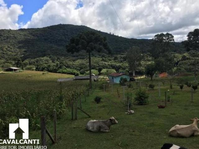 Sítio e chácara venda em Região Geográfica Imediata de Curitiba, Região Metropolitana de Curitiba