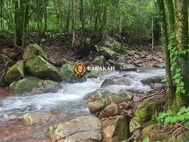 Sítio e chácara venda em Maquiné