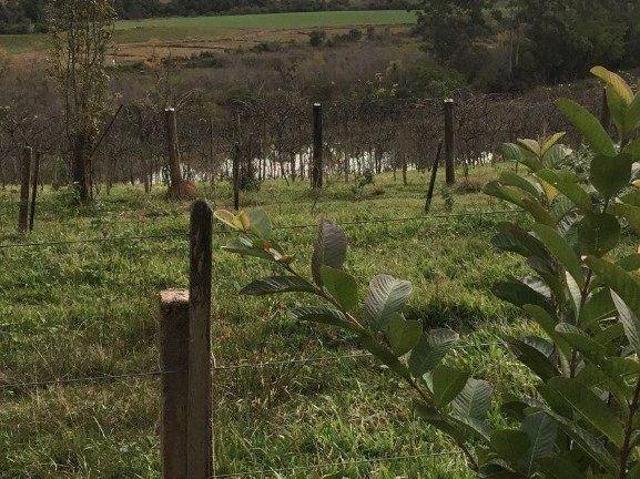Sítio e chácara venda em Região Geográfica Imediata de Porto Alegre, Mariana Pimentel