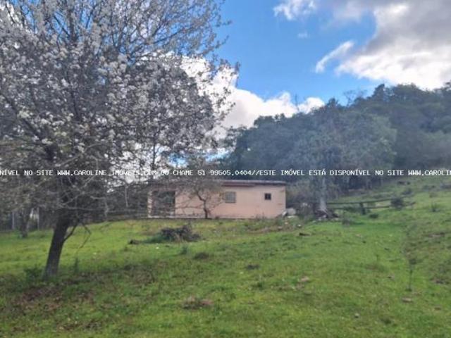 Sítio e chácara venda em Região Geográfica Imediata de Porto Alegre, Mariana Pimentel