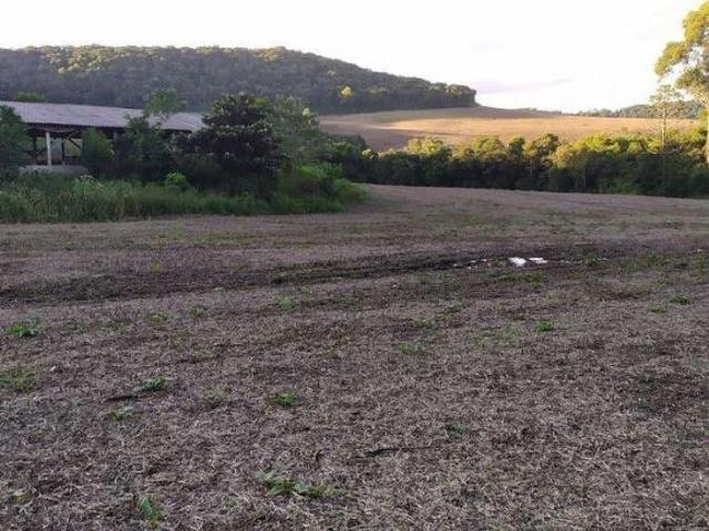 Sítio e chácara venda em Região Geográfica Imediata de Francisco Beltrão, Marmeleiro