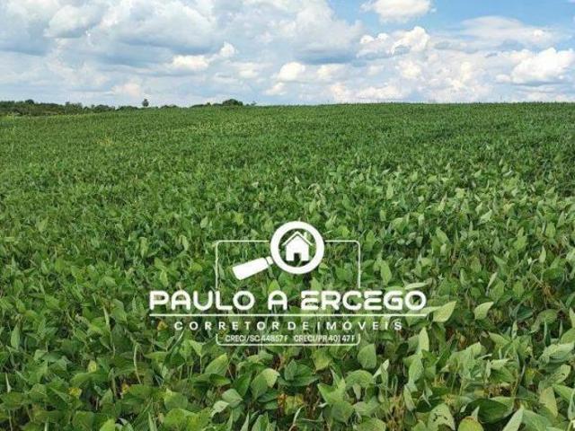 Sítio e chácara venda em Região Geográfica Imediata de Francisco Beltrão, Marmeleiro