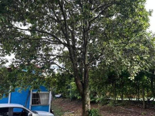 Sítio e chácara venda em Região Geográfica Imediata de Formiga, Medeiros