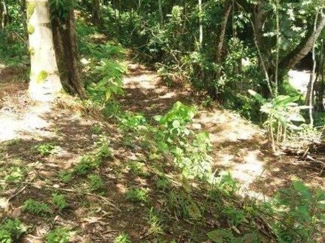 Sítio e chácara venda em Pedro Barros, Miracatu