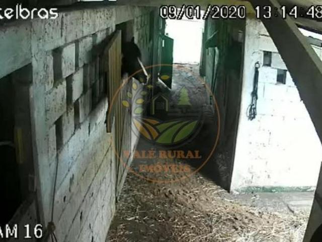 Sítio e chácara venda em Jardim Santista, Mogi das Cruzes