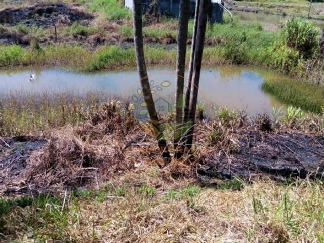 Sítio e chácara venda em Região Imediata de São Paulo, Região Metropolitana de São Paulo
