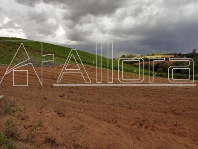 Sítio e chácara venda em Monte Alegre do Sul