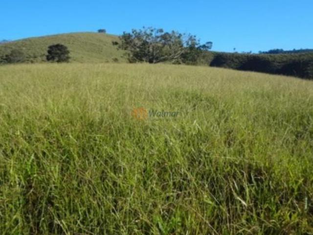 Sítio e chácara venda em Região Geográfica Imediata de Pouso Alegre, Monte Sião