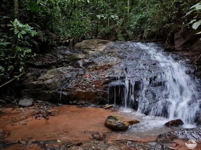 Sítio e chácara venda em Região Imediata de São José dos Campos, Região Metropolitana do Vale do Paraíba e Litoral Norte