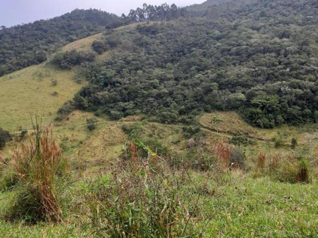 Sítio e chácara venda em Vila São Sebastião, Monteiro Lobato