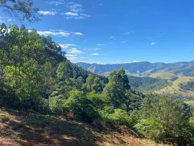 Sítio e chácara venda em Vila São Sebastião, Monteiro Lobato