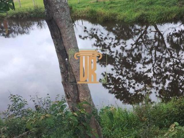 Sítio e chácara venda em Vila São Sebastião, Monteiro Lobato