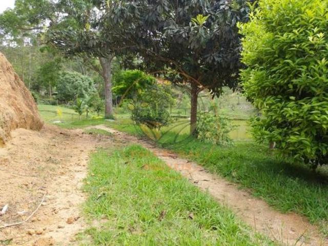 Sítio e chácara venda em Região Imediata de Taubaté-Pindamonhangaba, Região Metropolitana do Vale do Paraíba e Litoral Norte