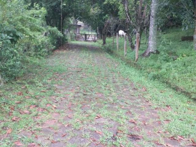 Sítio e chácara venda em Região Imediata de São Paulo, Região Metropolitana de São Paulo