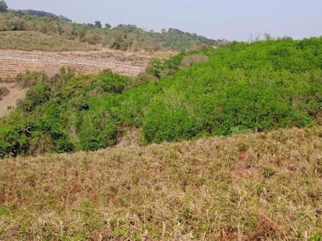 Sítio e chácara venda em Nepomuceno, Região Geográfica Intermediária de Varginha