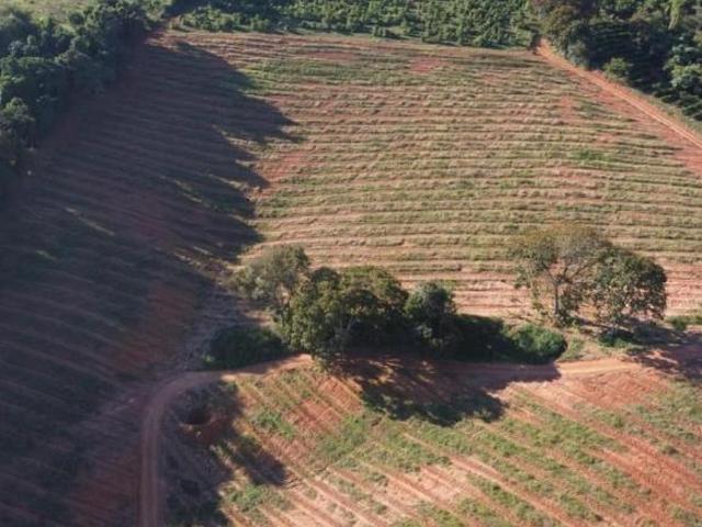 Sítio e chácara venda em Nepomuceno, Região Geográfica Intermediária de Varginha