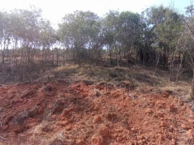 Sítio e chácara venda em Região Geográfica Imediata de Muriaé, Muriaé